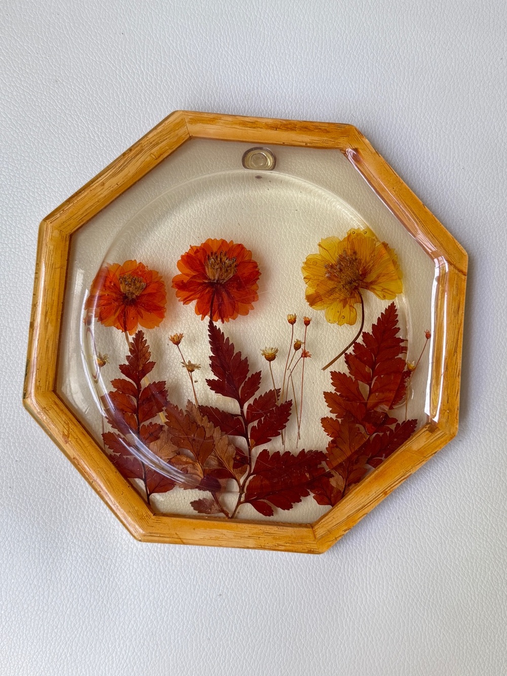 VTG 1970's Lucite/Resin Trivet Hot Pad Pressed Dried Flowers Frame Octagon
